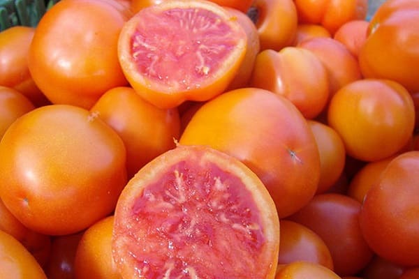 rajčatový grapefruit