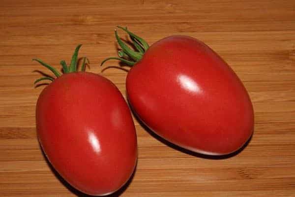 Tomates vermelhos