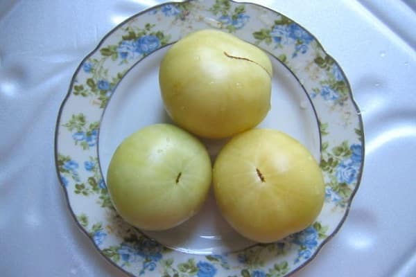 Sobremesa com uma crosta de açúcar queimado por um maçarico