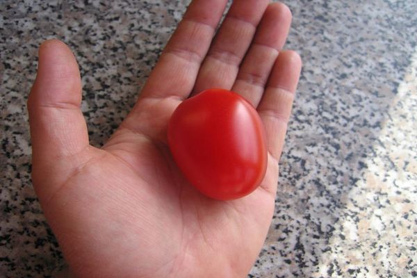 rajčatový bonbón