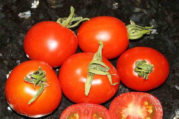 Description of the Glacier tomato variety and characteristics