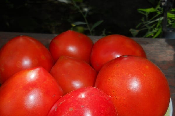 tomato lord