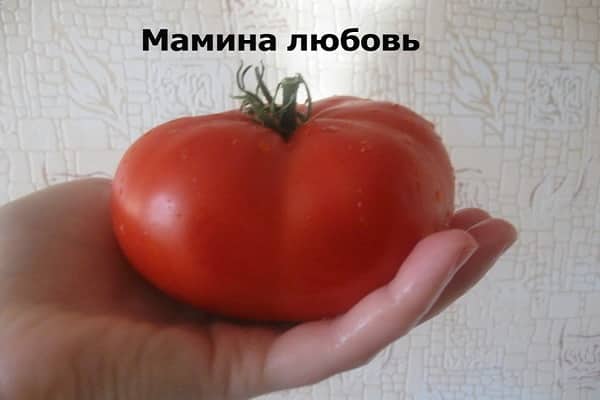 мамина љубав