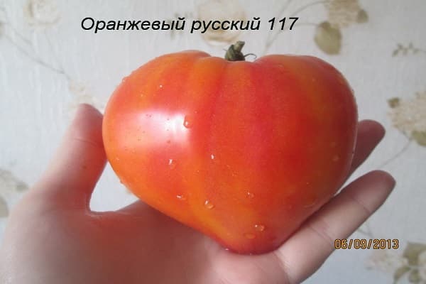 skin of tomatoes