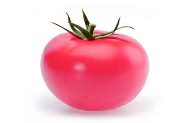 tomate pandarosa