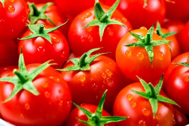 ripe tomatoes