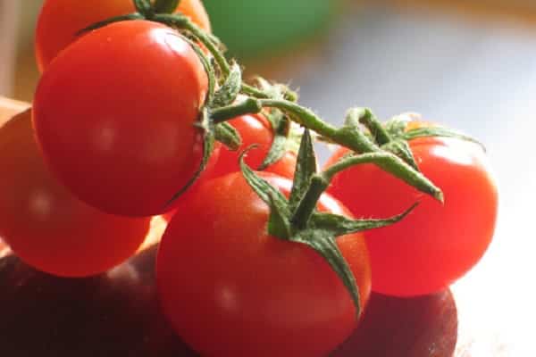 deliciosa ensalada