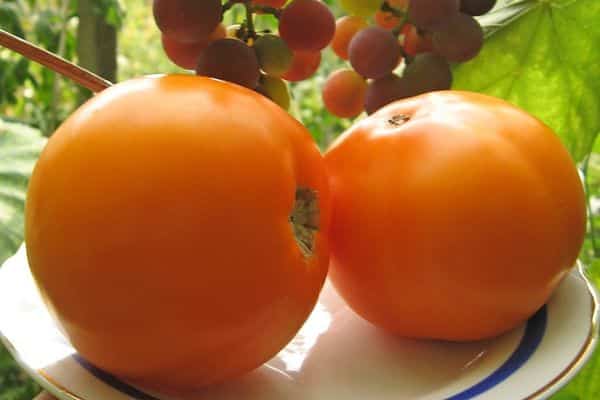 Gelbe Tomaten