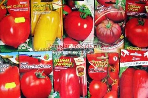 tomato varieties