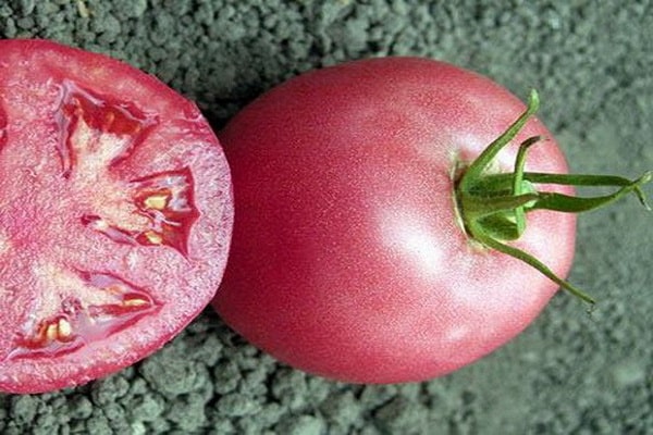 tomate variétale