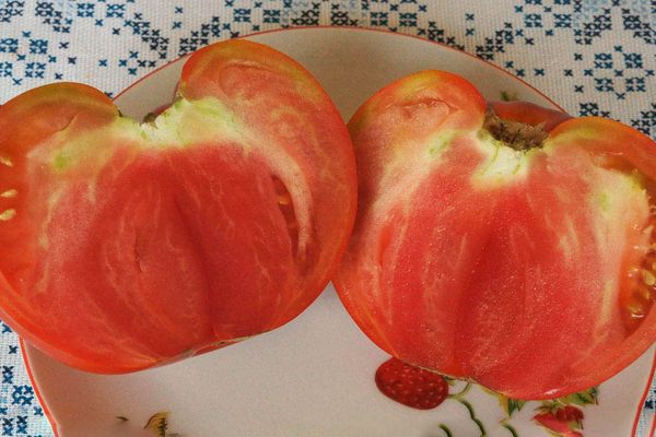 Sliced ​​tomato