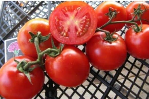 coupe transversale de tomate