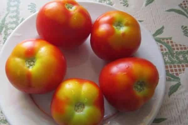 Ripe tomatoes