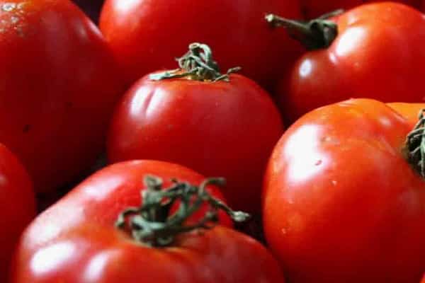 baute Tomaten an