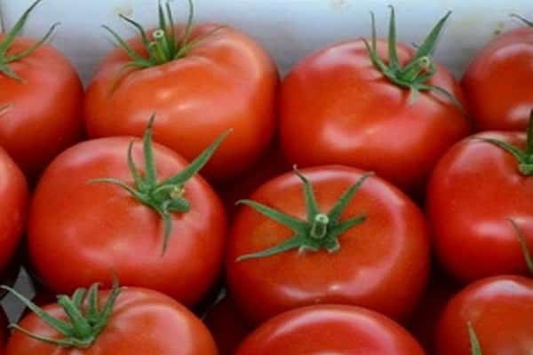 ripening vegetables