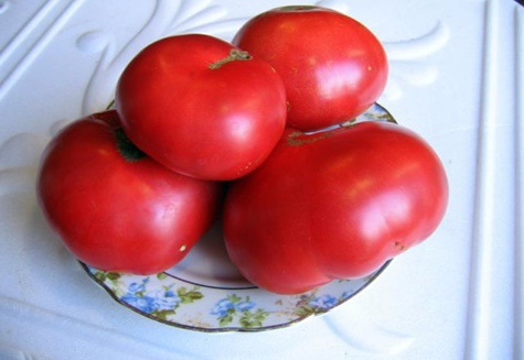 Tomàquet de posta de sol de gerds en un plat