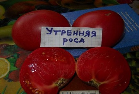 роса у пресеку 