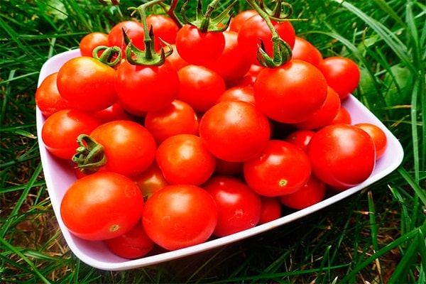 caractéristiques des fruits