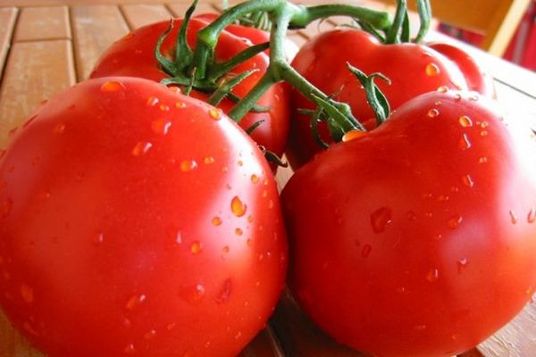 afrodite de tomate