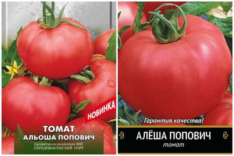 popis odrůdy rajčat