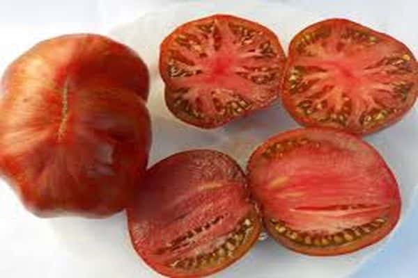 cross-section of tomato