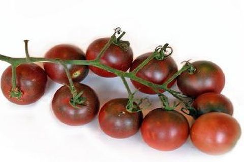 cherry rajčata černoch