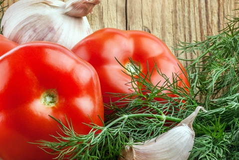 endro de tomate e chasnok