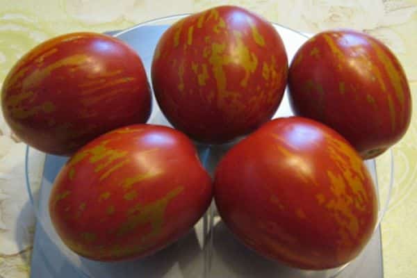 rajčata na váze