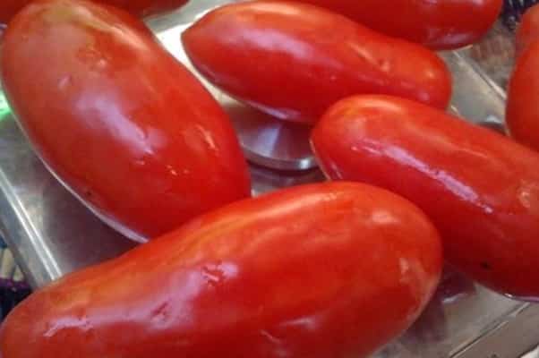 aparência de dedos de açúcar de tomate