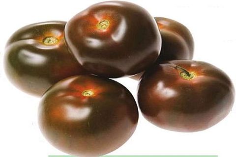 tomates kumato inteiros