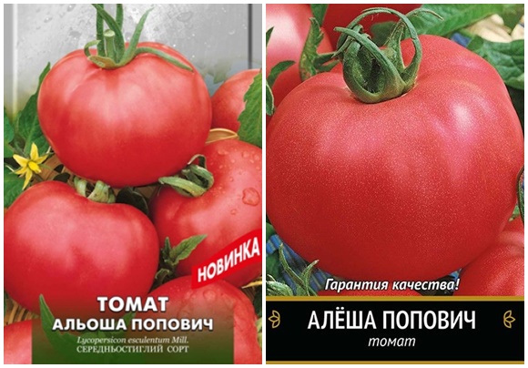 semena rajčat Alyosha Popovich