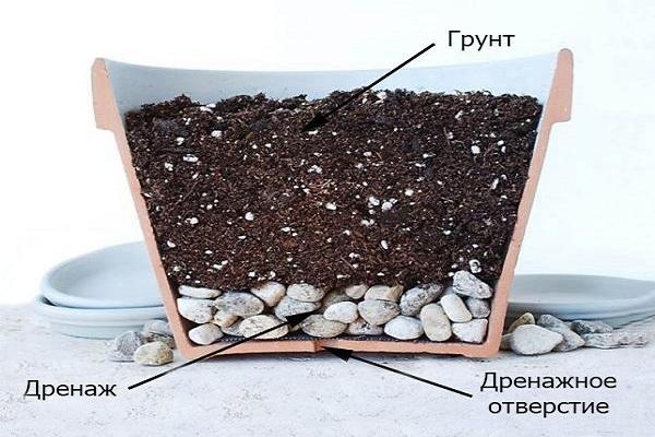 pottediagram 