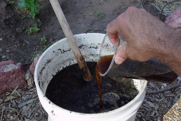 manure dressing