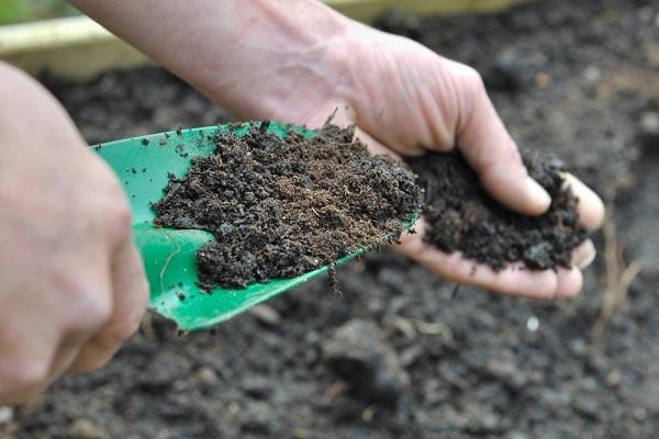 compost sample