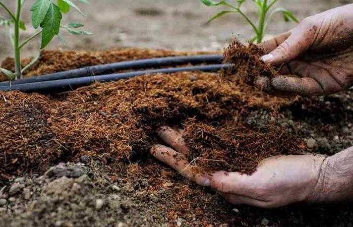 aggiungere fertilizzante 