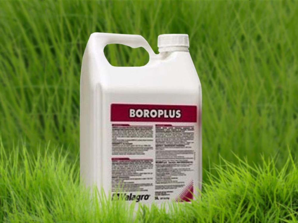 Boroplus-Dünger