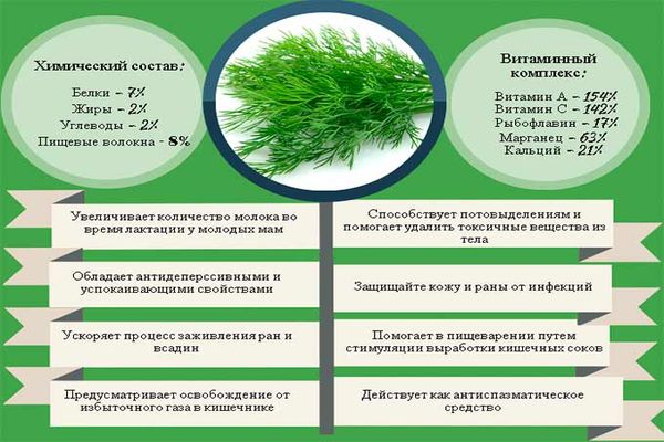 composition of dill