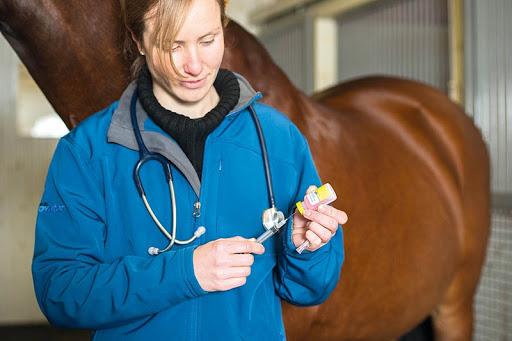 vaccin voor paarden