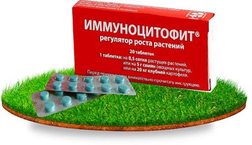 Имуноцитофит