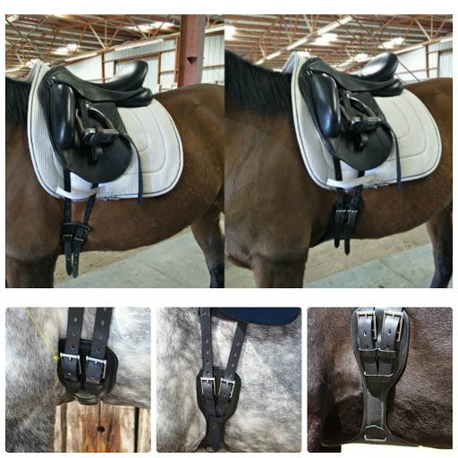 Dressage horse saddle