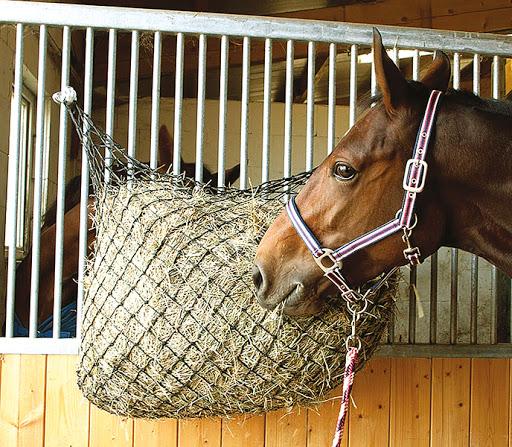 horse feeders