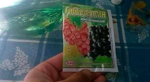 giberelina para uvas