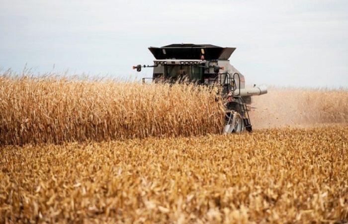 harvesting with a combine 