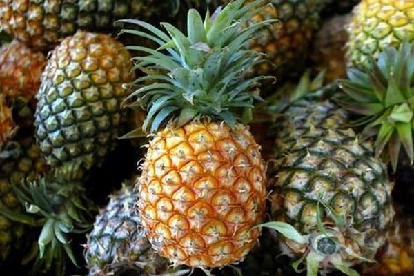 frische ananas 