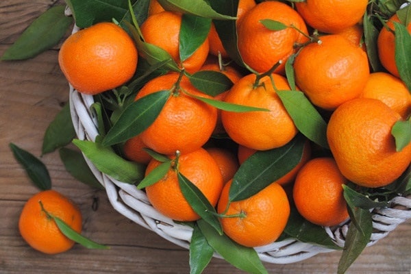 mandarinky na zimu