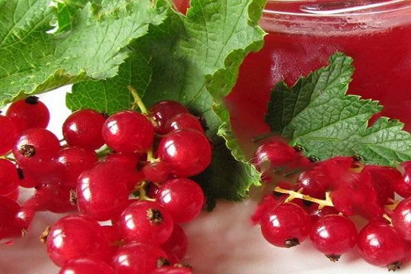 rote Beeren