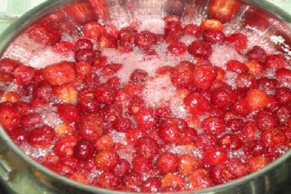 Beeren zum Kochen