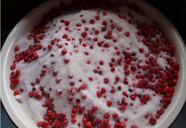 مربى Lingonberry مع التفاح