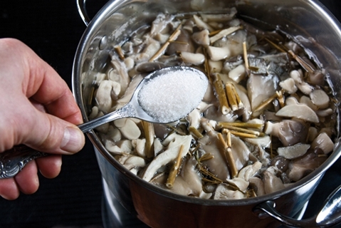 proceso de preparación de hongos ostra 