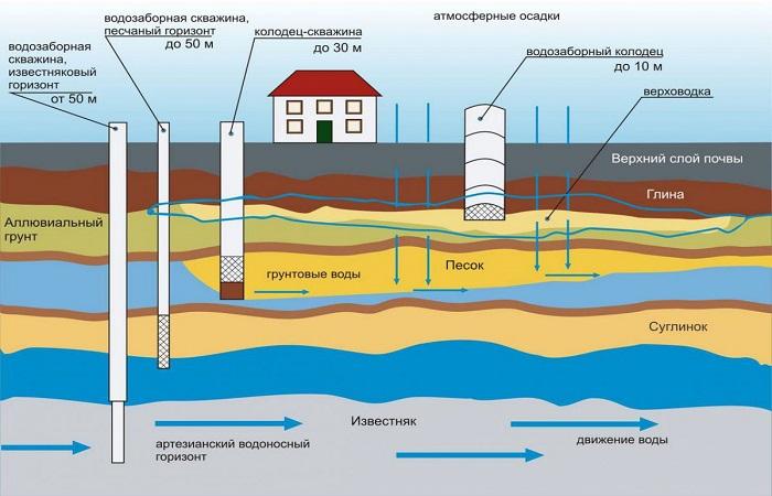 soil in section 